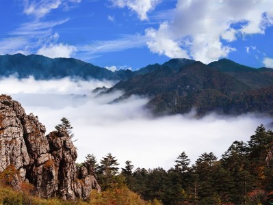 南昌神农架：秘境之旅，云海奇观，草原牧歌，探寻世外桃源